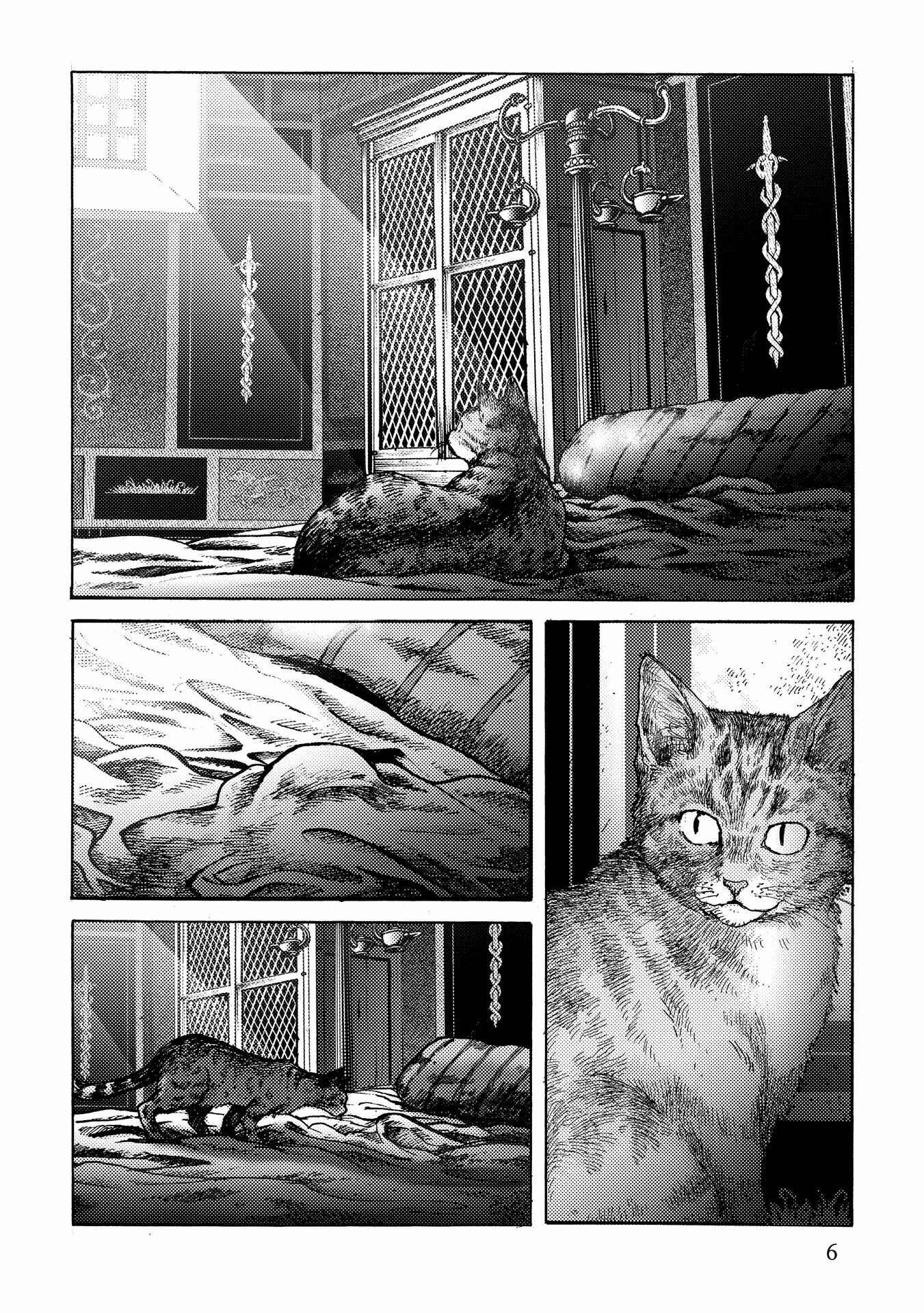 Page 6 Chapter 15 Plinivs