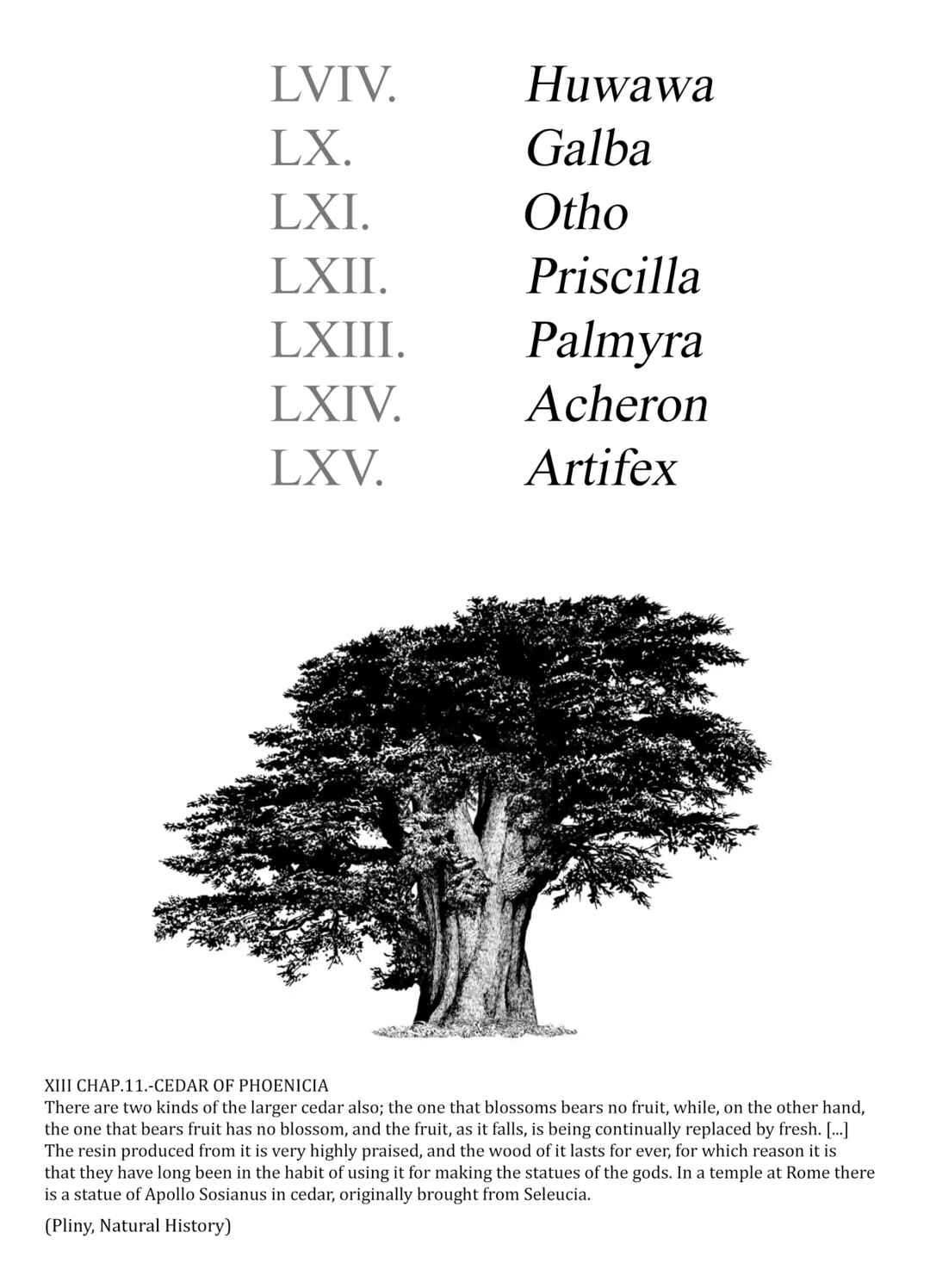 Page 4 Chapter 64 Plinivs