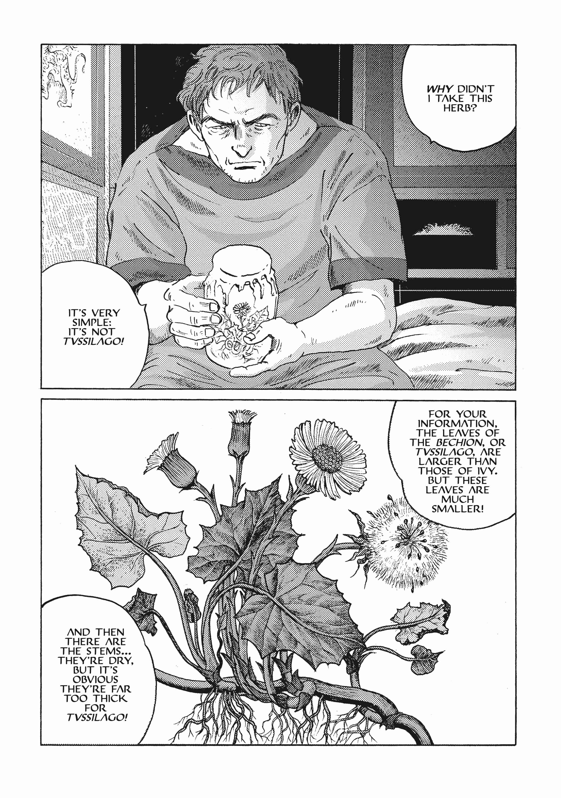 Page 9 Chapter 11 Plinivs