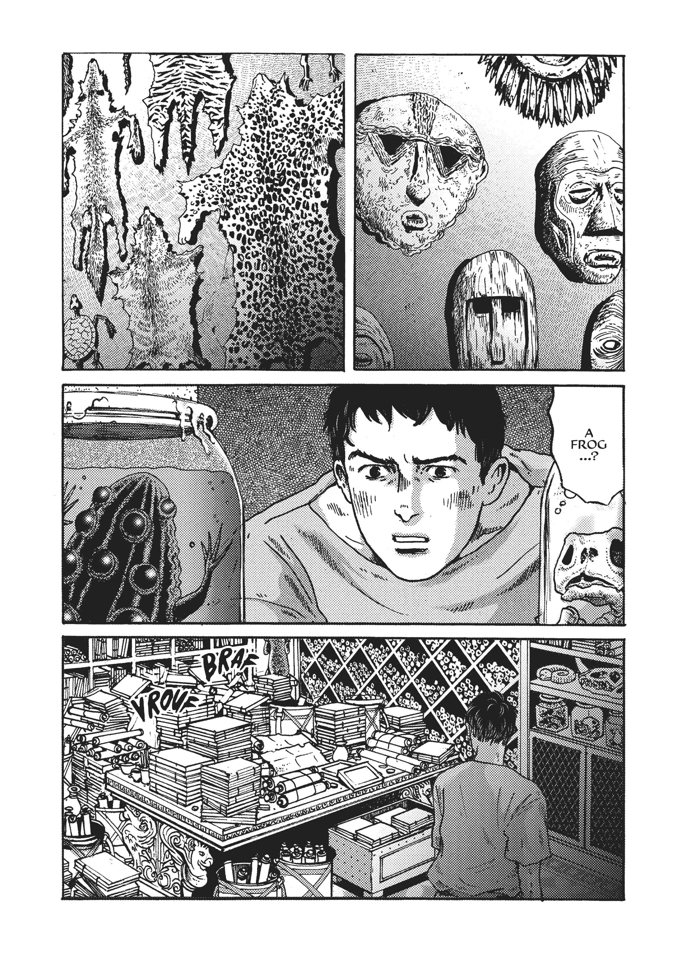 Page 12 Chapter 8 Plinivs
