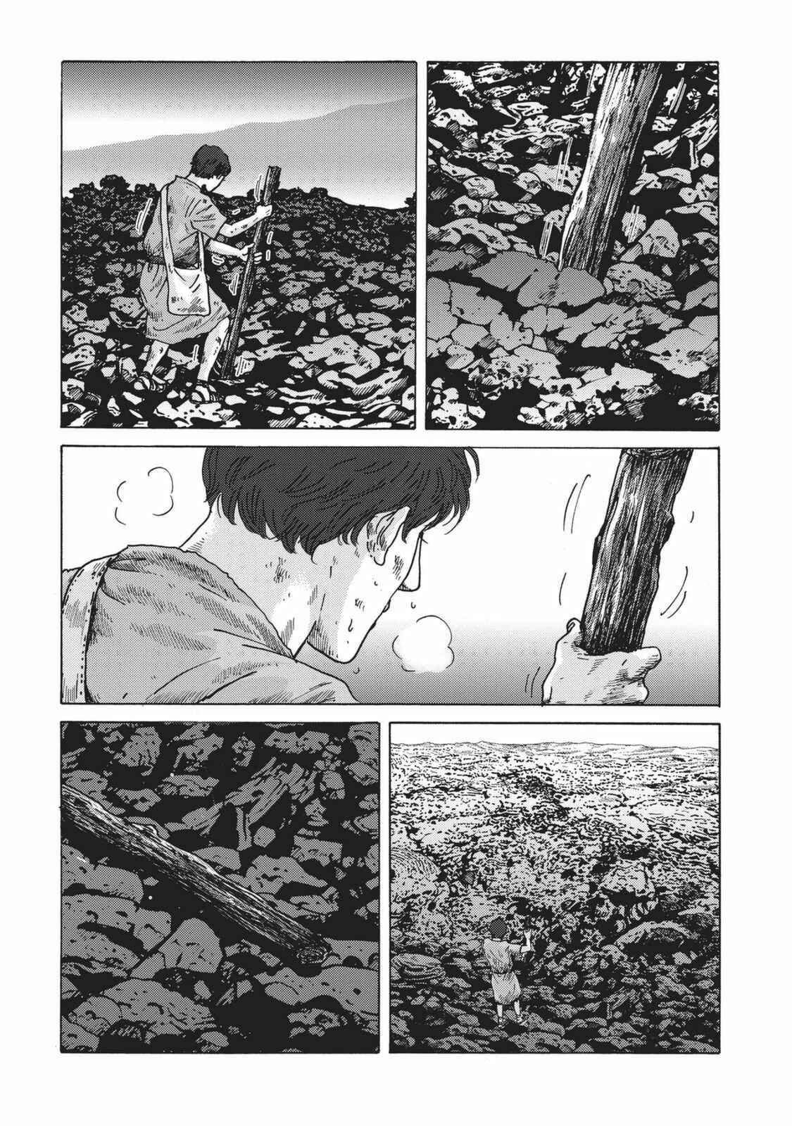 Page 8 Chapter 2 Plinivs