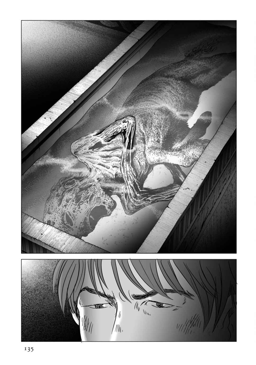 Page 2 Chapter 76 Plinivs