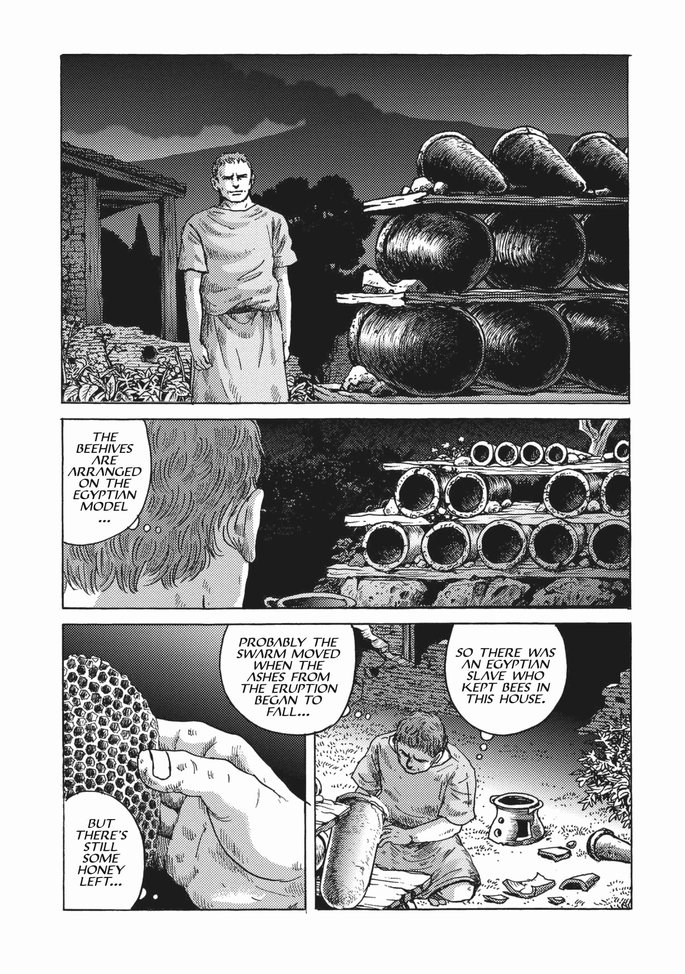 Page 19 Chapter 3 Plinivs
