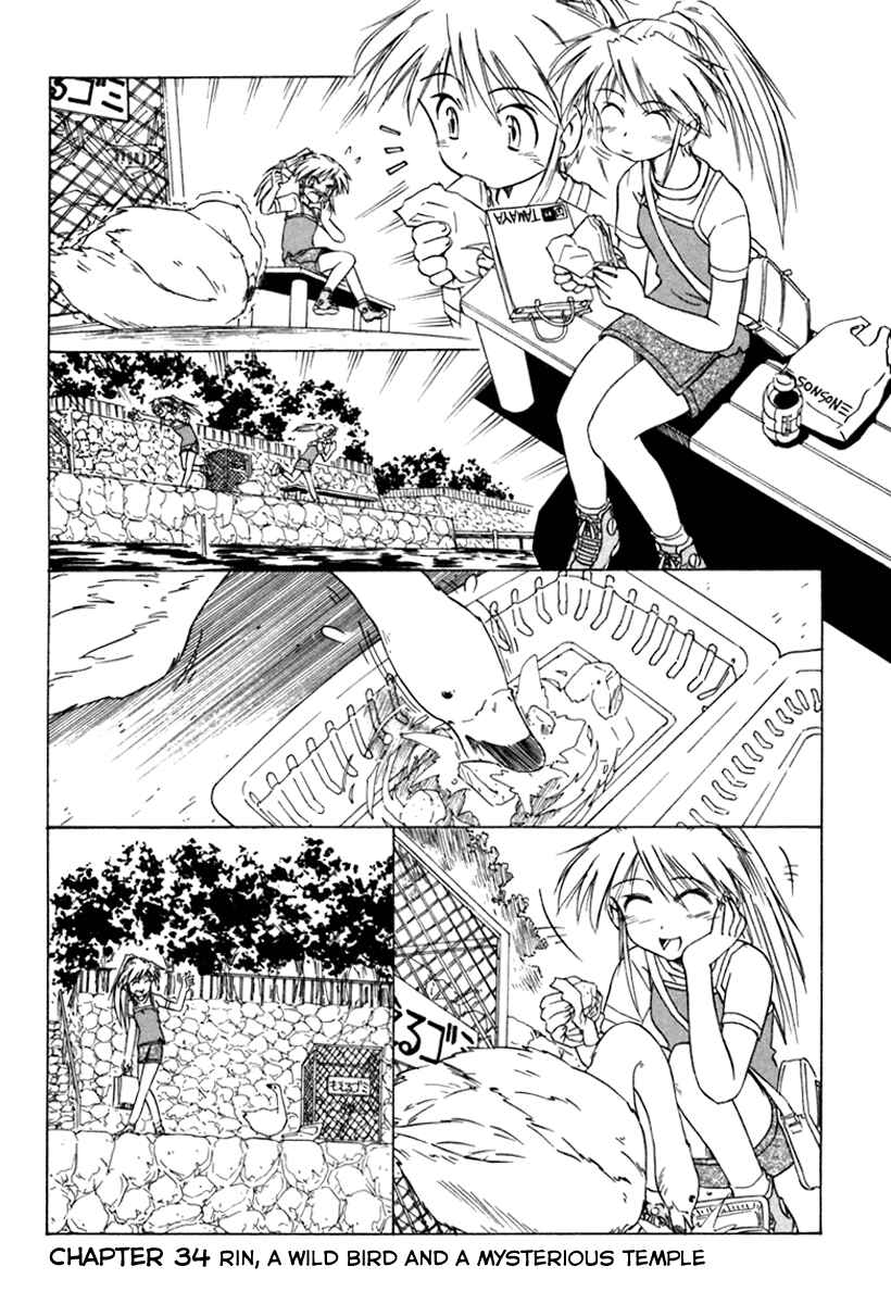 Page 1 Chapter 34 Narue no Sekai