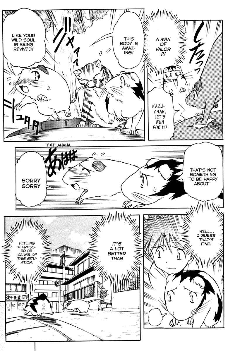 Page 17 Chapter 27 Narue no Sekai