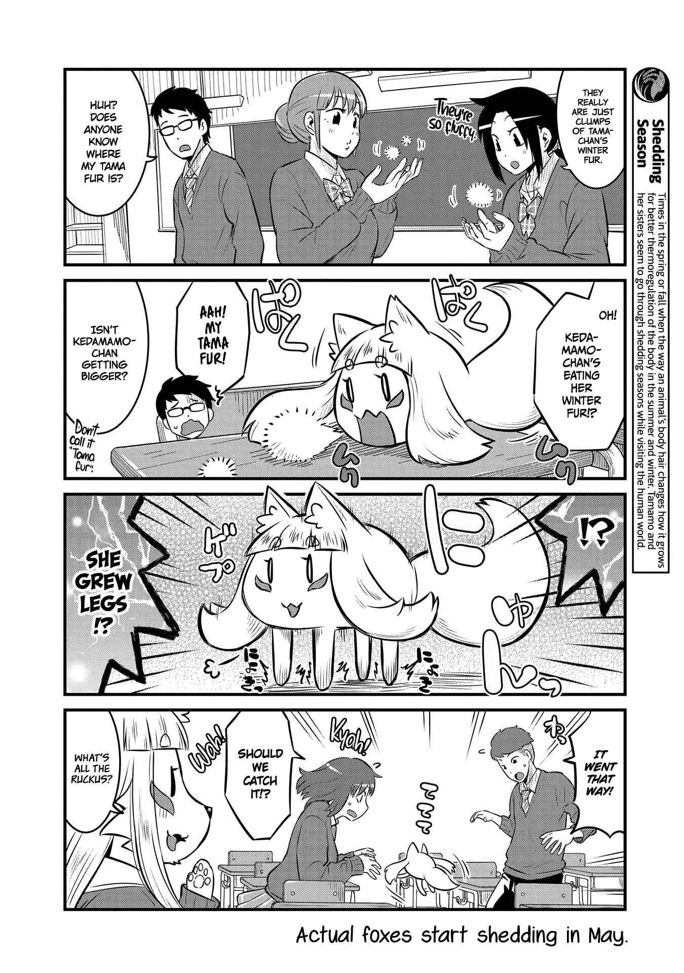 Page 6 Chapter 62 Tamamo-chan’s a Fox!