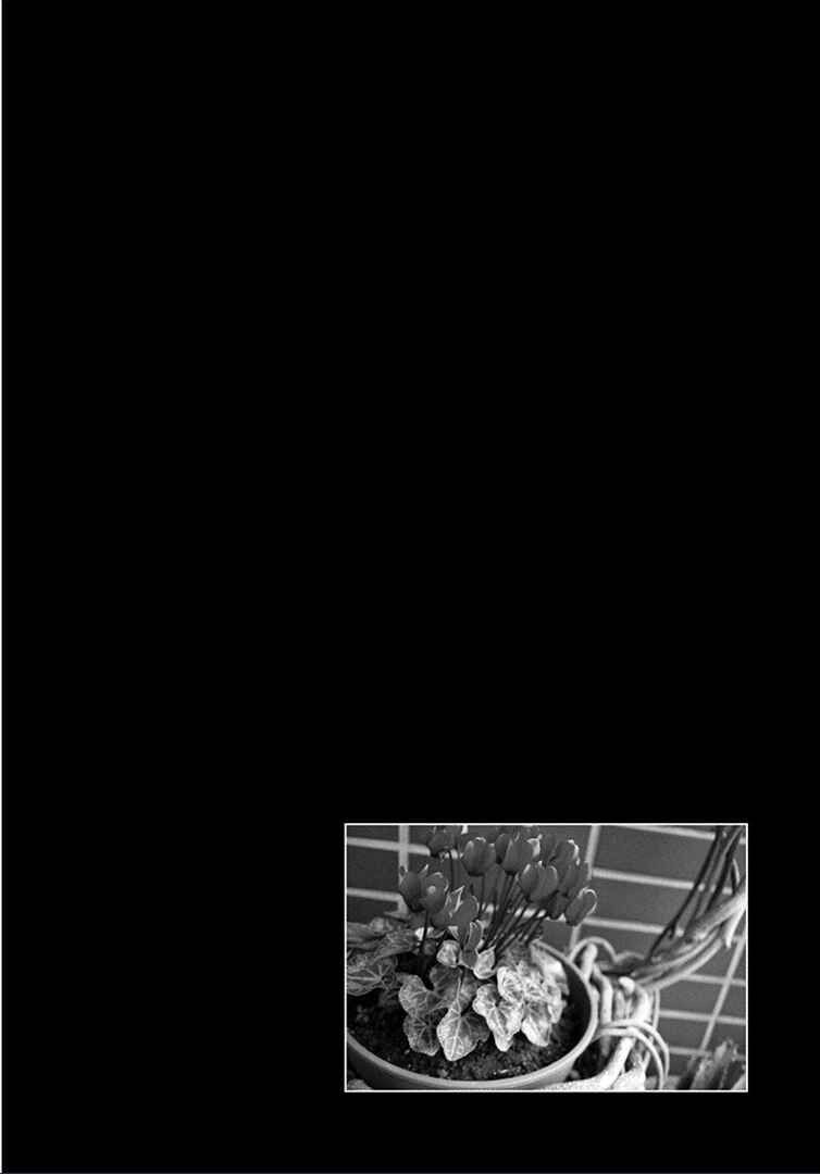 Page 1 Chapter 14 1/11