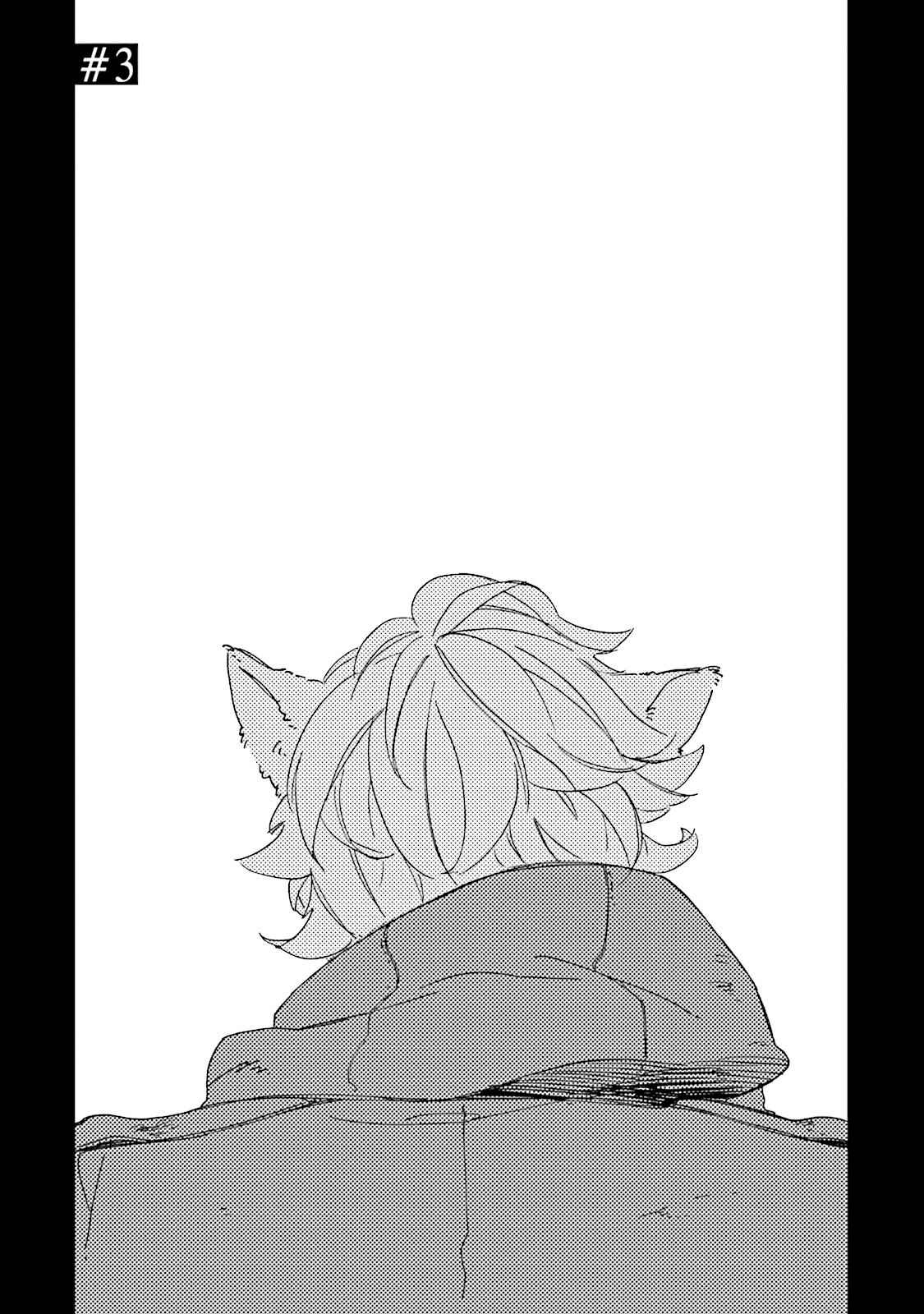 Page 4 Chapter 3 BASCULER