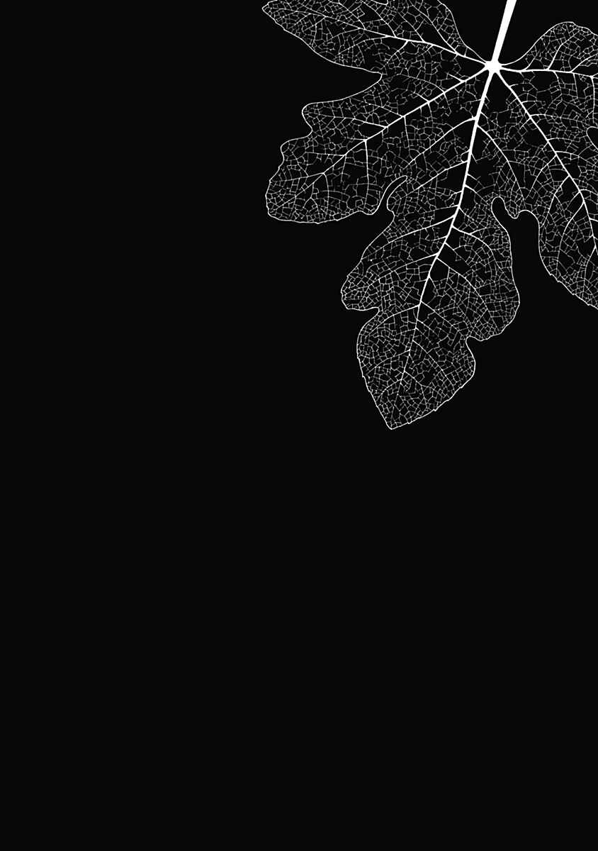 Page 27 Chapter 3 Noise