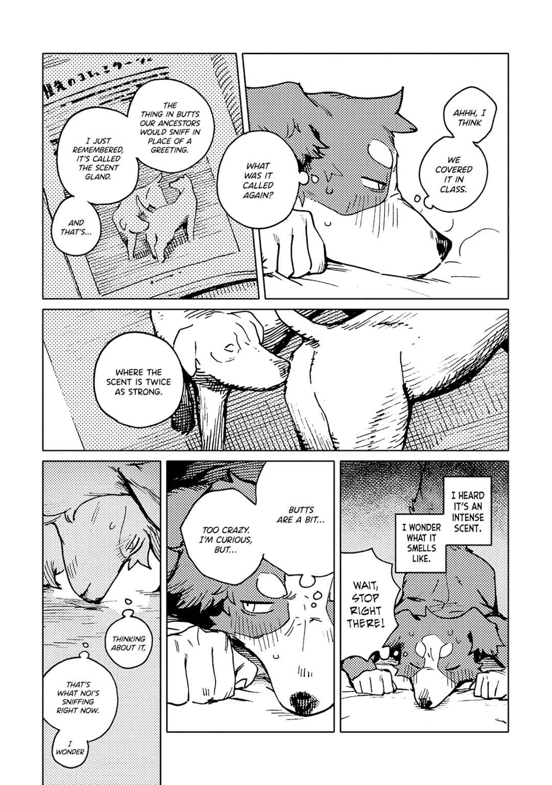 Page 22 Chapter 6 SMELL