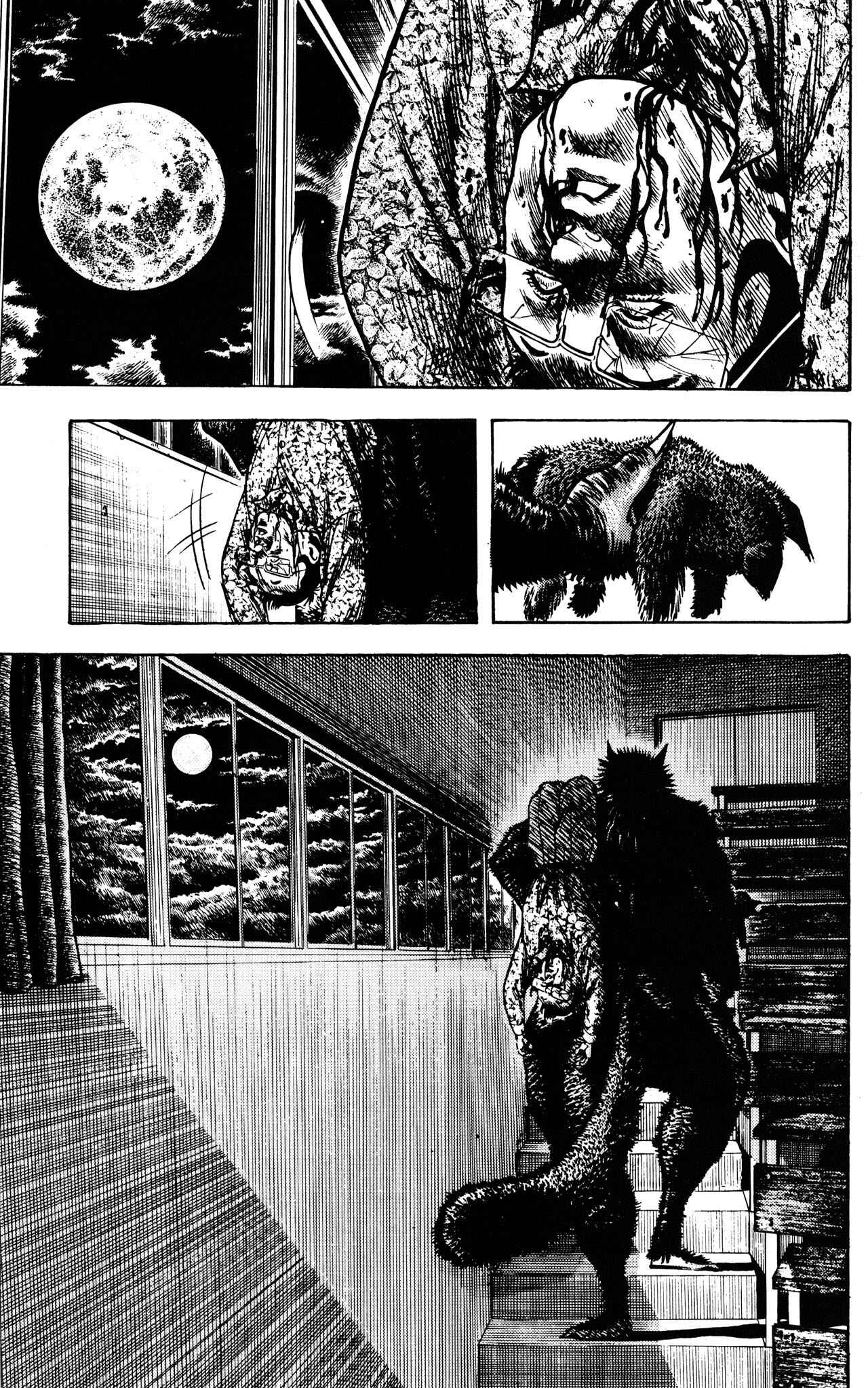 Page 31 Chapter 3 Lycanthrope Leo