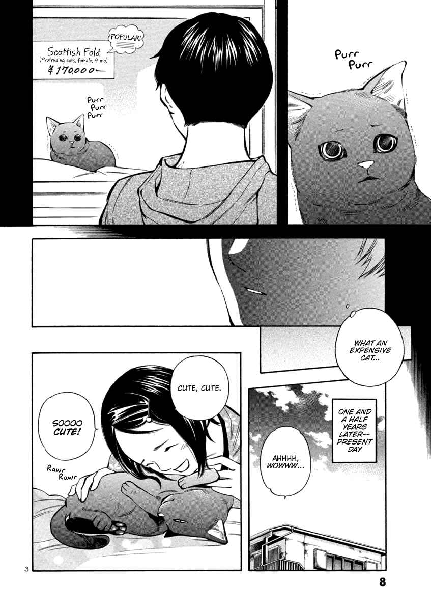 Page 7 Chapter 131 Kurosagi: The Black Swindler