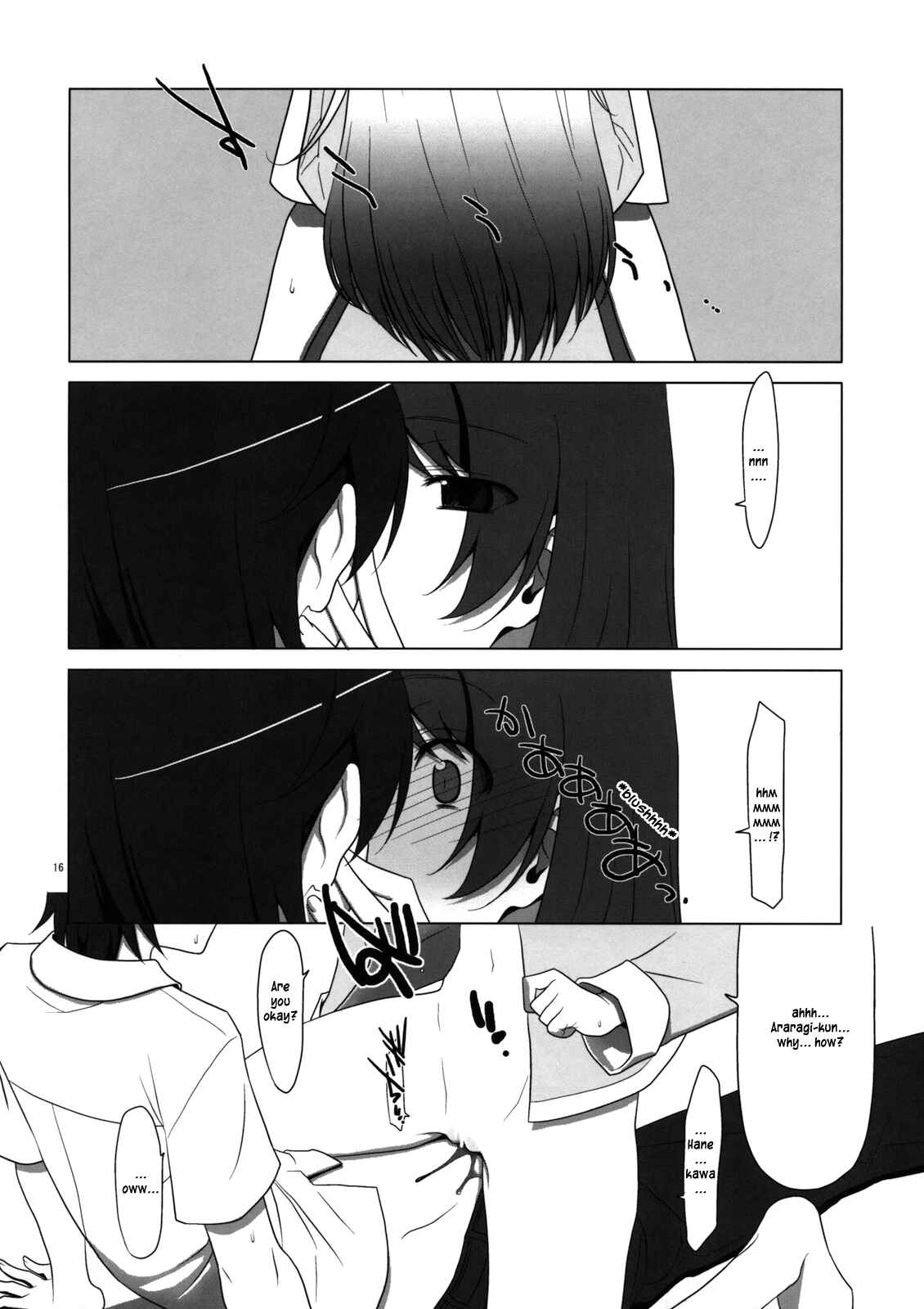 Page 15 Chapter Unknown_8410 Bakemonogatari - PLUNDER (Doujinshi)