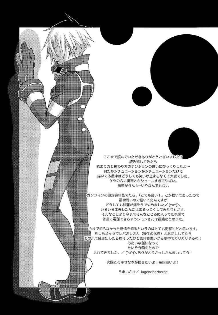 Page 45 Chapter Unknown_a5e5 Tengen Toppa Gurren Lagann - Zwinger (Doujinshi)