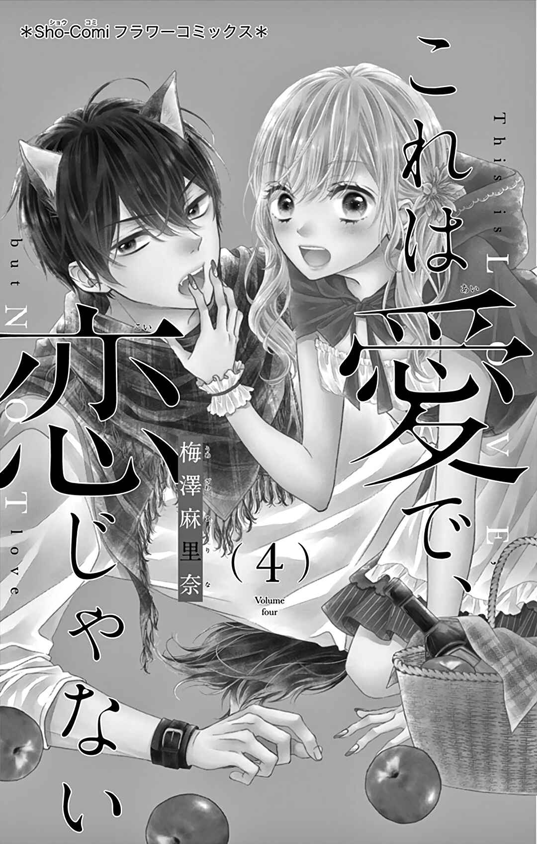 Page 4 Chapter 16 Kore wa Ai de, Koi ja Nai