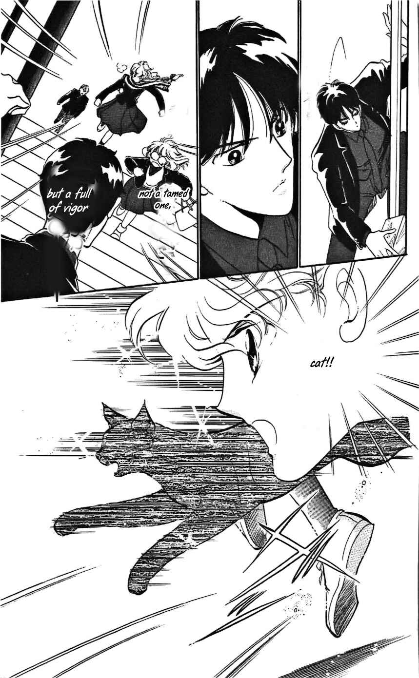 Page 17 Chapter 8 One More Marionette