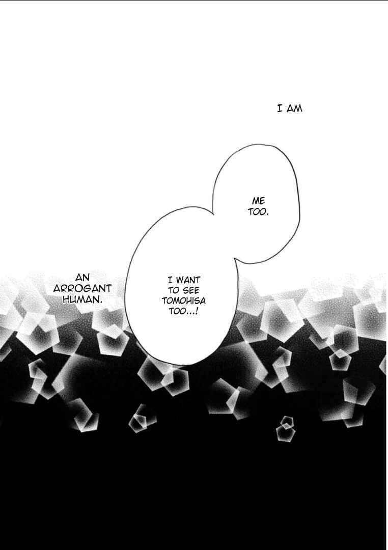 Page 44 Chapter 5 Paradise View