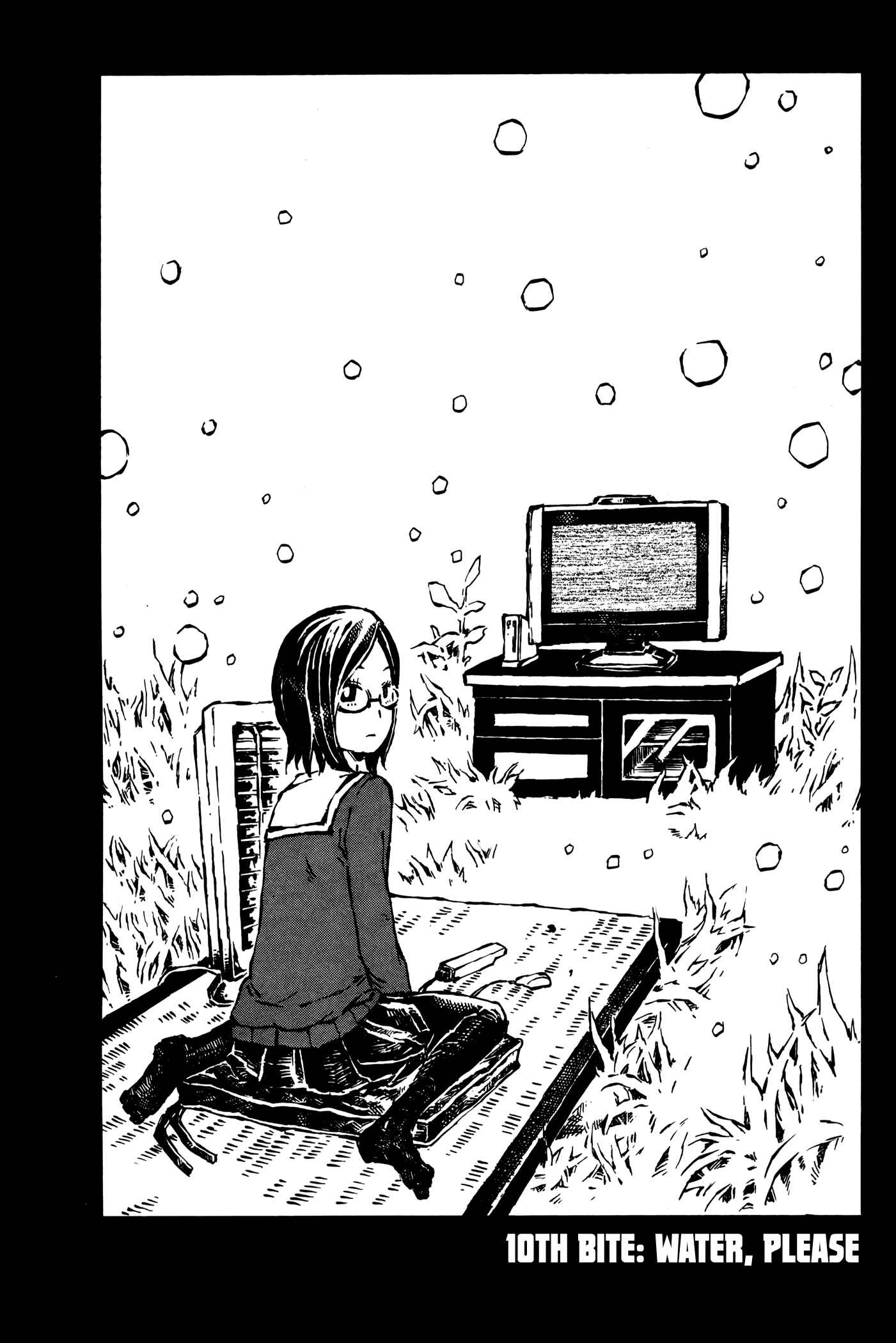 Page 3 Chapter 10 Vanilla Spider