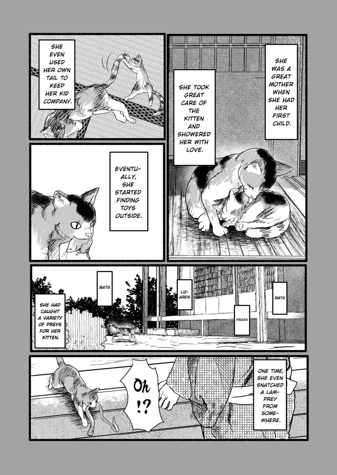 Page 3 Chapter 2 Black Cat Jiumin