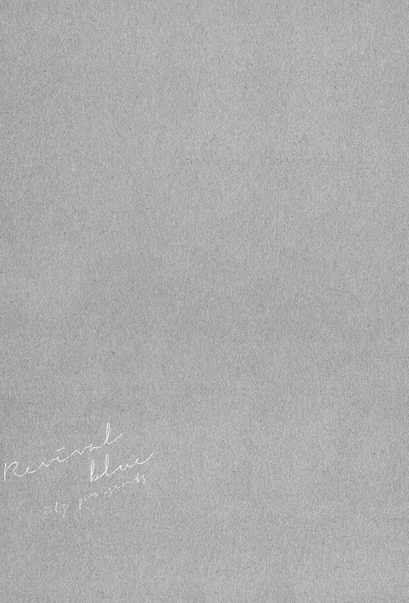 Page 25 Chapter 8 Revival Blue