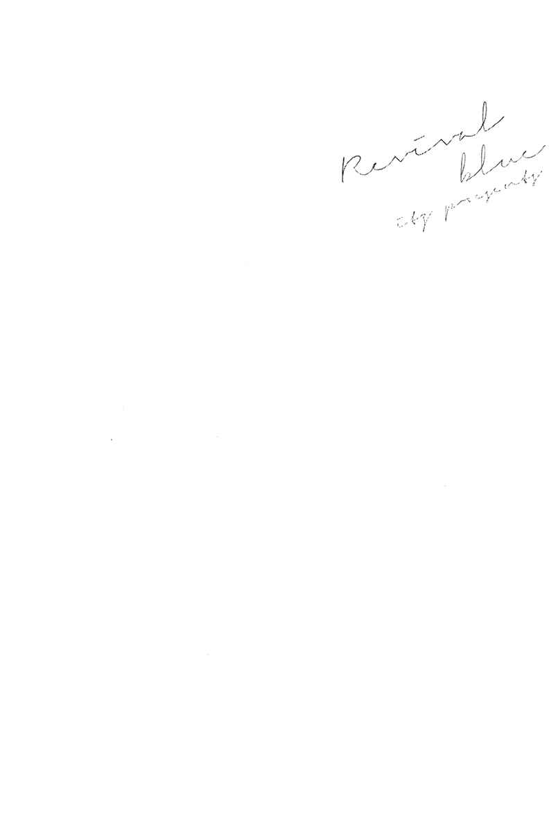 Page 25 Chapter 3 Revival Blue