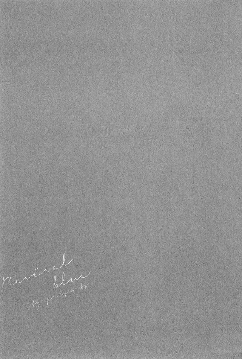 Page 29 Chapter 12 Revival Blue