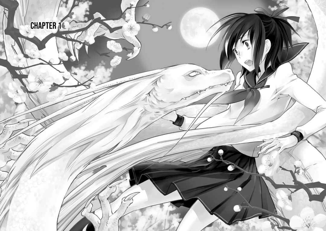 Page 4 Chapter 1 Jingai-san no Yome: Yoimachi no Miko