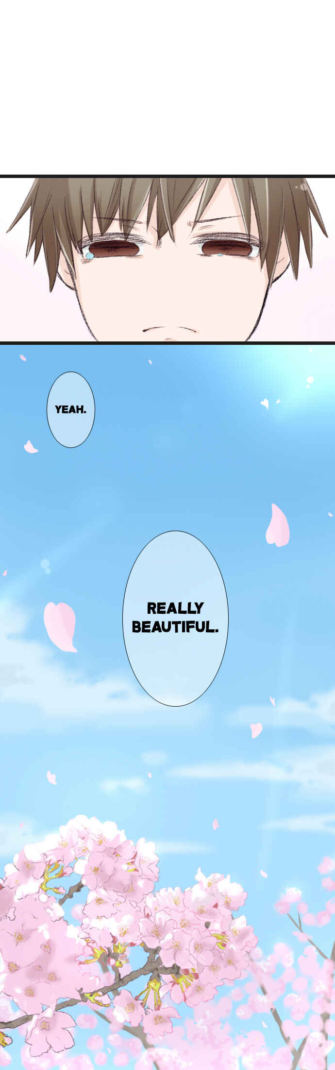 Page 12 Chapter 2 Cherry Blossom-Colored You