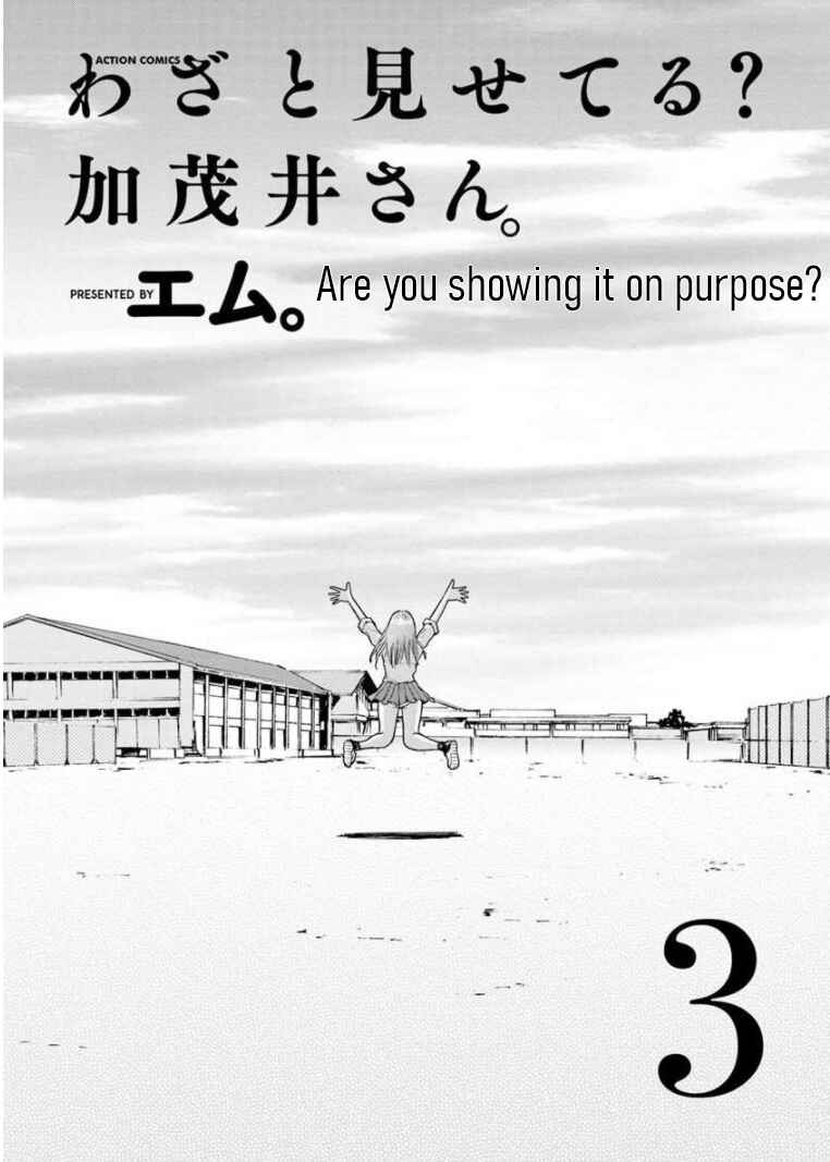 Page 3 Chapter 13 Wazato Miseteru Kamoi-san?