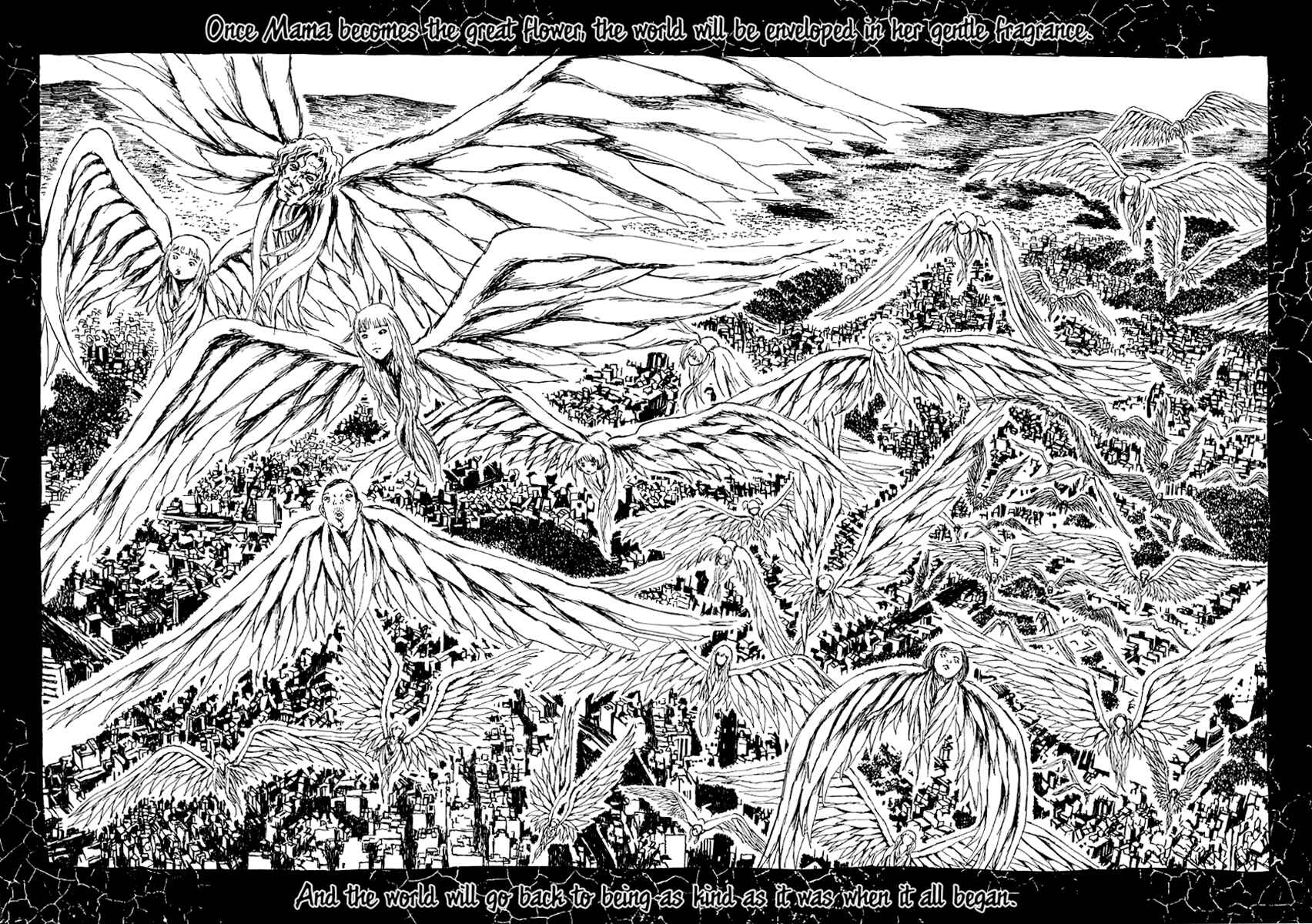 Page 105 Chapter 7 Garden