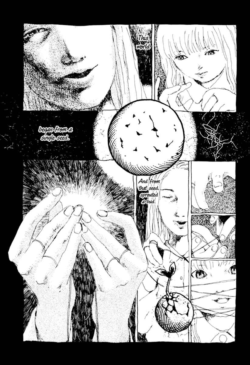 Page 18 Chapter 7 Garden