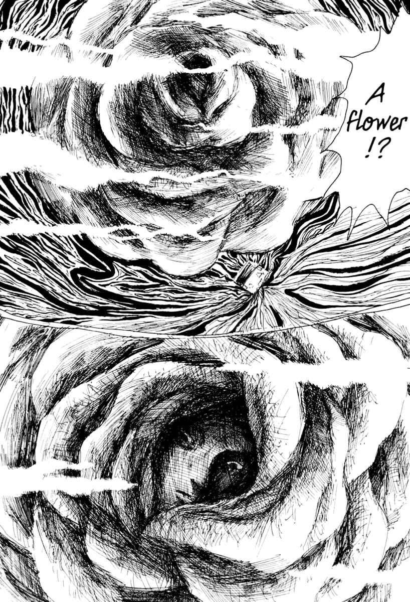 Page 64 Chapter 7 Garden