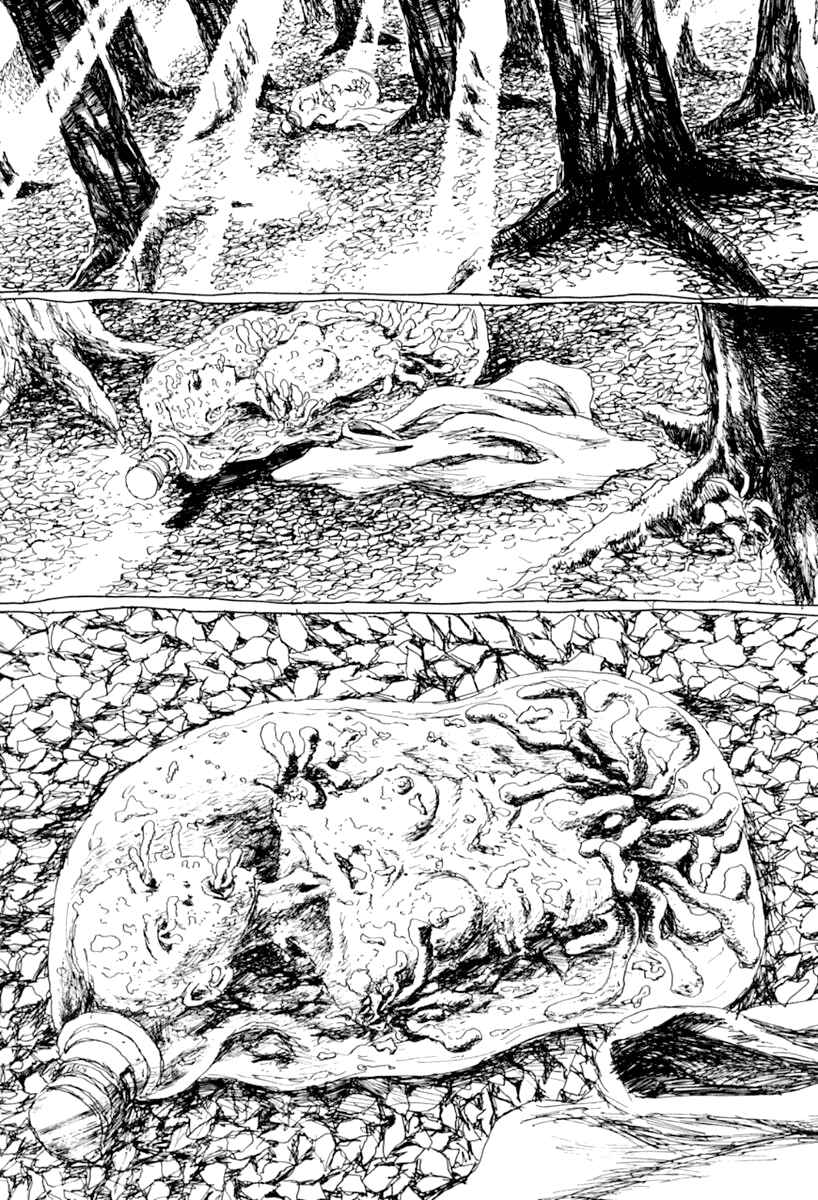 Page 73 Chapter 7 Garden