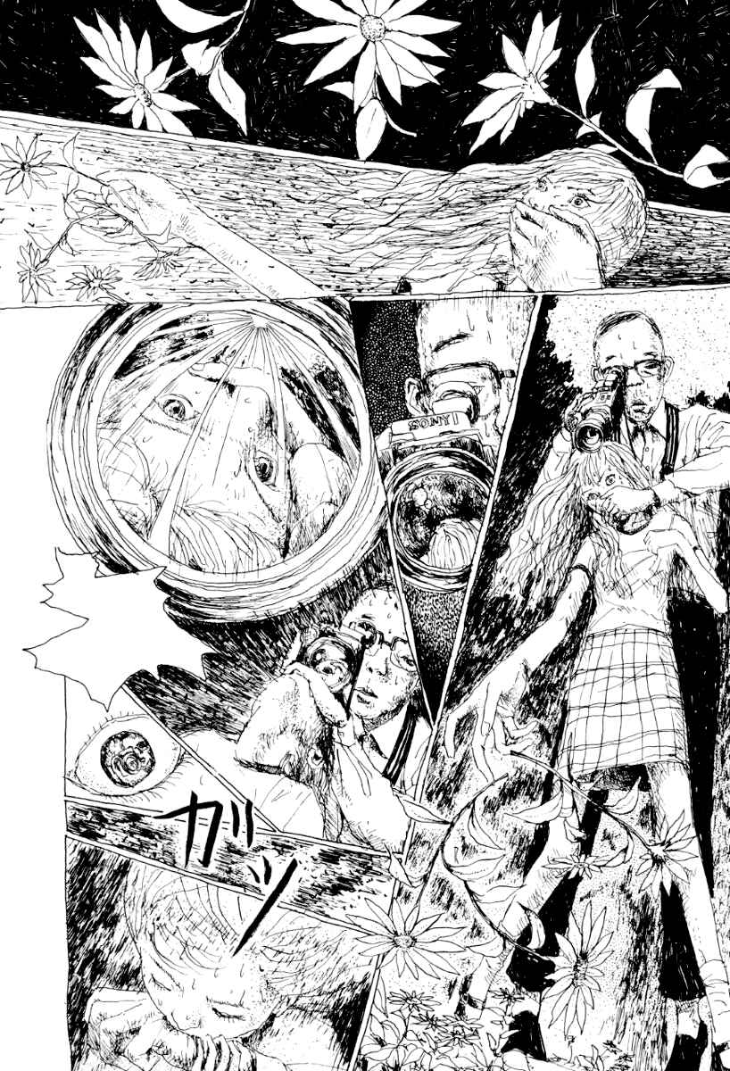 Page 8 Chapter 7 Garden