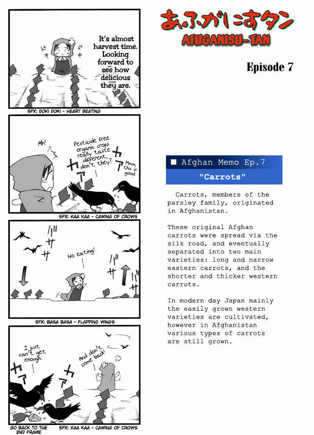 Page 1 Chapter 7 Afghanistan