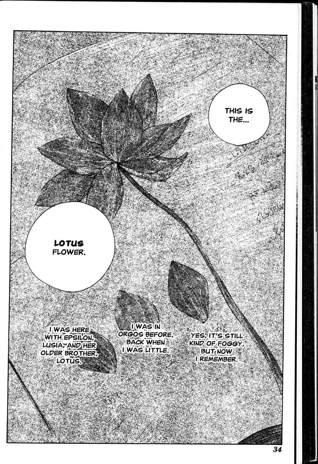 Page 40 Chapter 11 Desert Coral