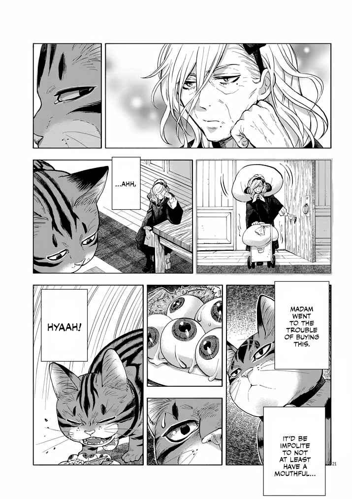 Page 20 Chapter 2 Isekai Neko to Fukigen na Majo