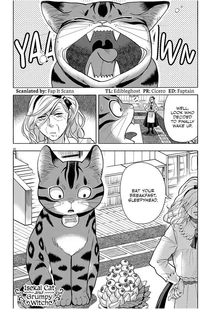 Page 22 Chapter 3 Isekai Neko to Fukigen na Majo