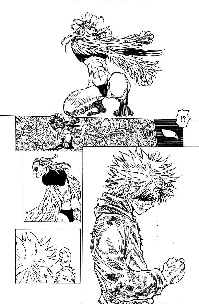 Page 10 Chapter 219 HUNTER x HUNTER