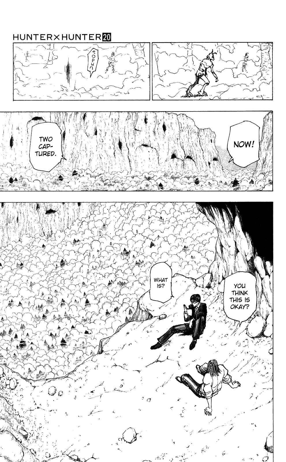 Page 13 Chapter 205 HUNTER x HUNTER