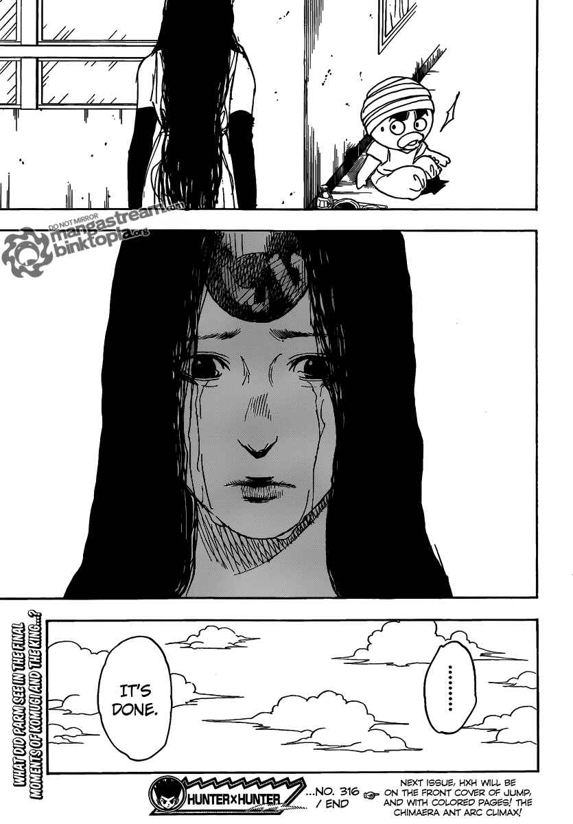 Page 19 Chapter 316 HUNTER x HUNTER