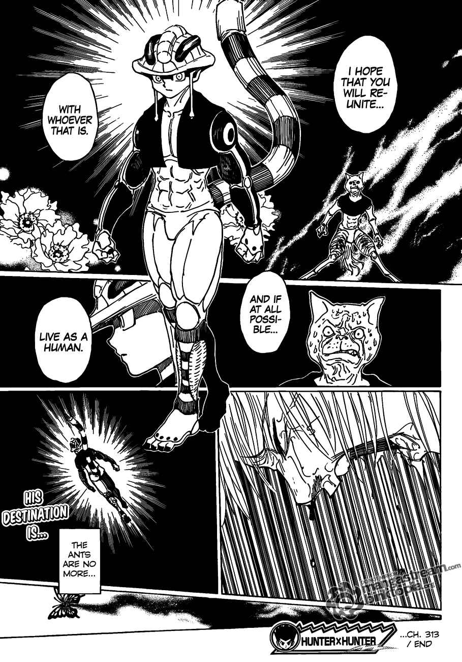 Page 14 Chapter 313 HUNTER x HUNTER