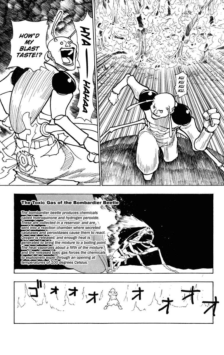 Page 11 Chapter 236 HUNTER x HUNTER