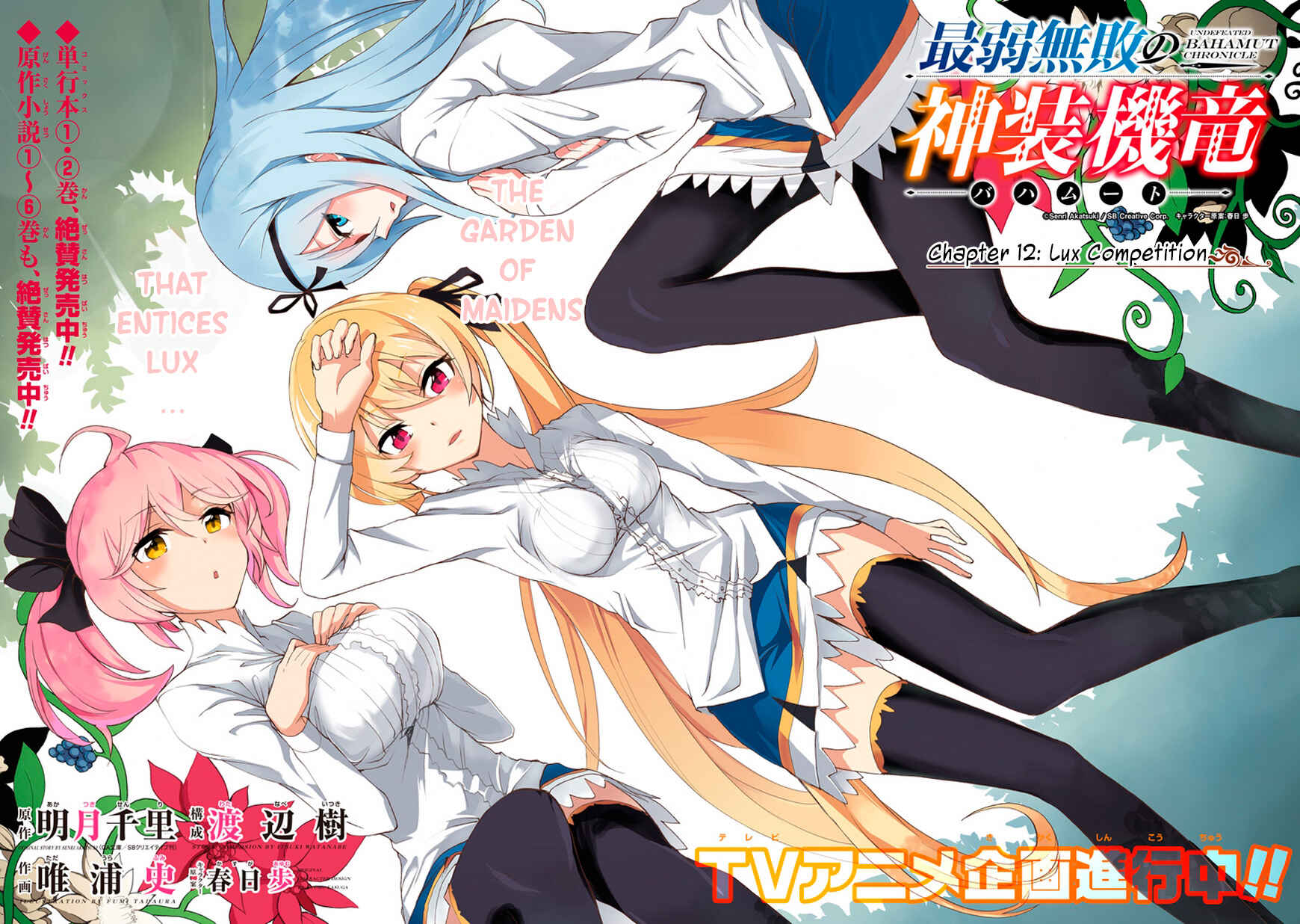 Page 13 Chapter 12 Saijaku Muhai no Bahamut