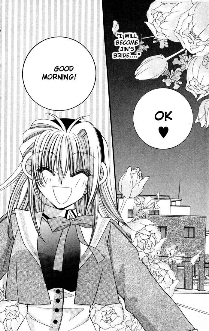 Page 27 Chapter 12 Milk Crown