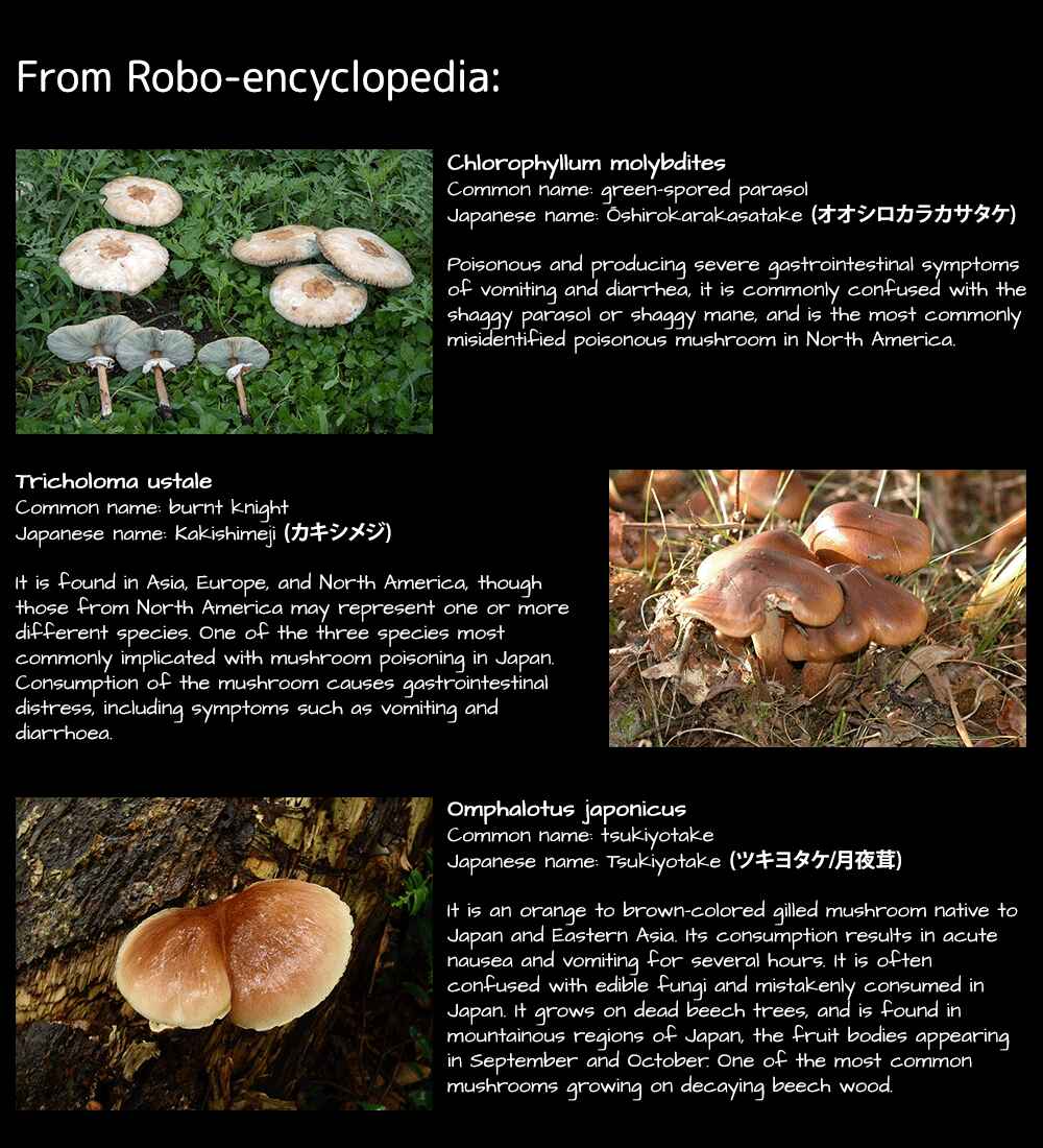Page 16 Chapter Unknown_167e Angela