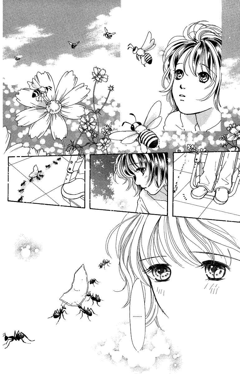 Page 7 Chapter 6 Flower
