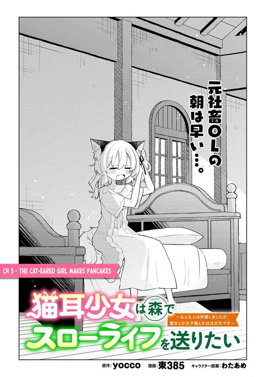 Page 2 Chapter 3 Nekomimi Shoujo wa Mori de Slow Life wo Okuritai ~Mofumofu wa Shomou Shimashita ga, Seijo to ka Ouji-sama to ka wa Chuumongai desu~