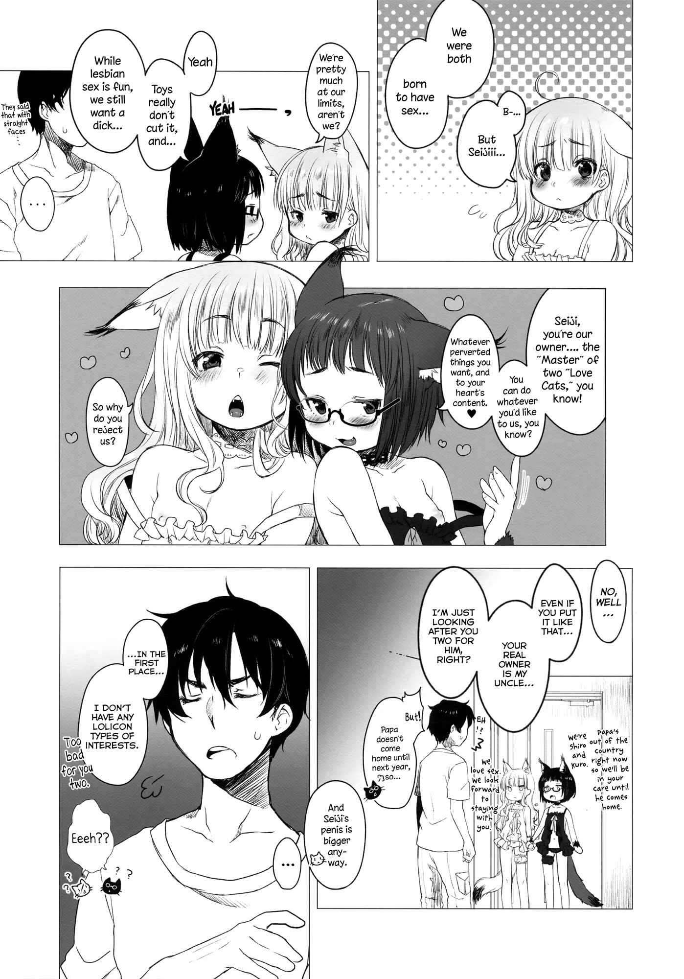 Page 9 Chapter 1 CUSTOM LOVECATs