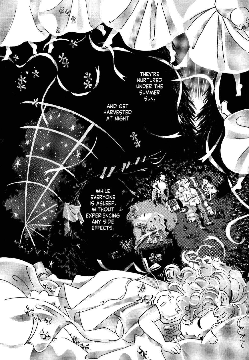 Page 19 Chapter 6 See the Forest